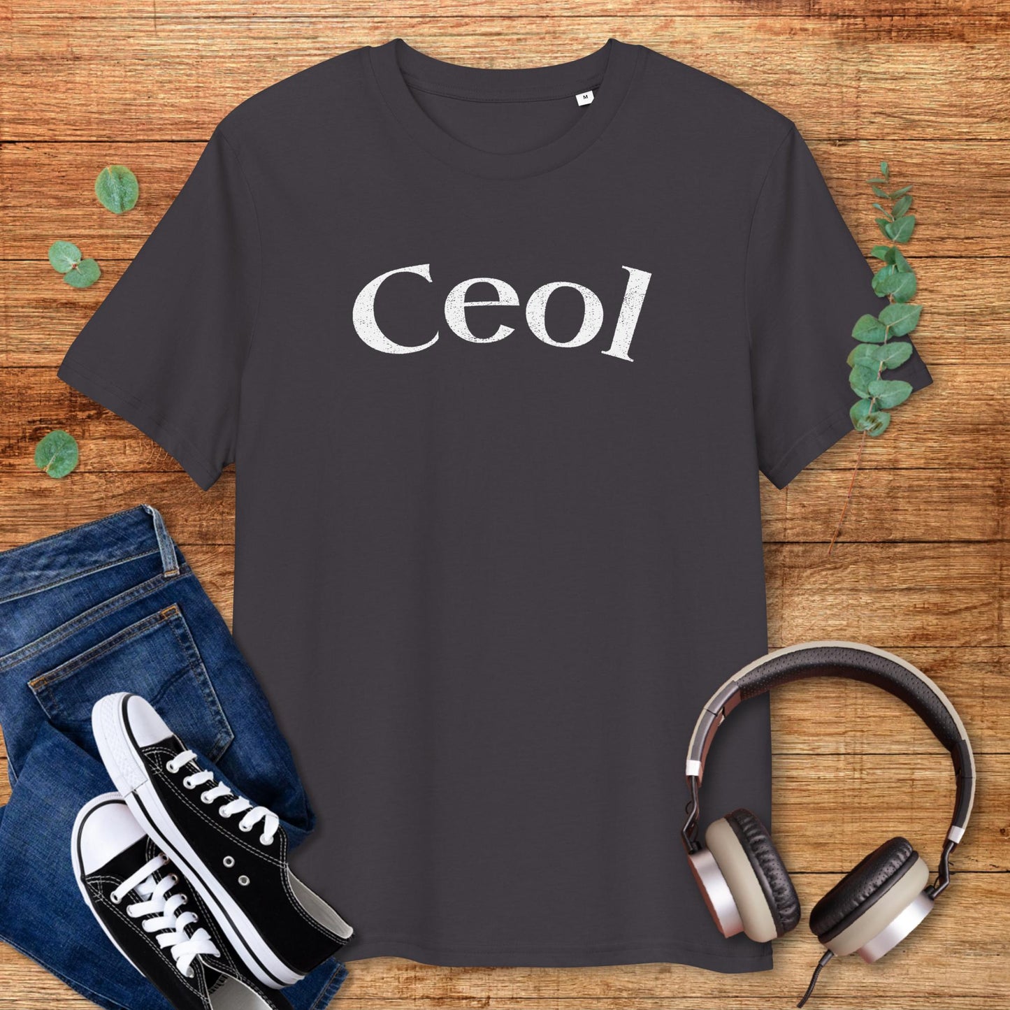 Ceol, Irish Music