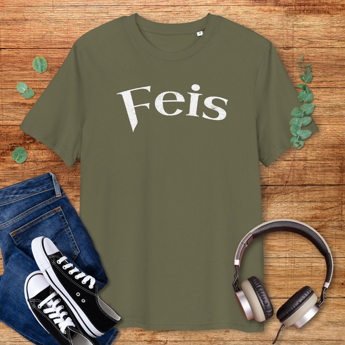 Feis, Irish Music