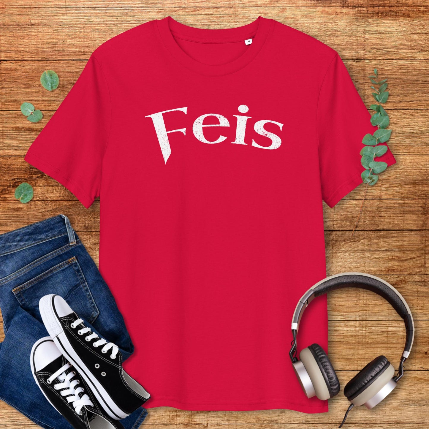 Feis, Irish Music