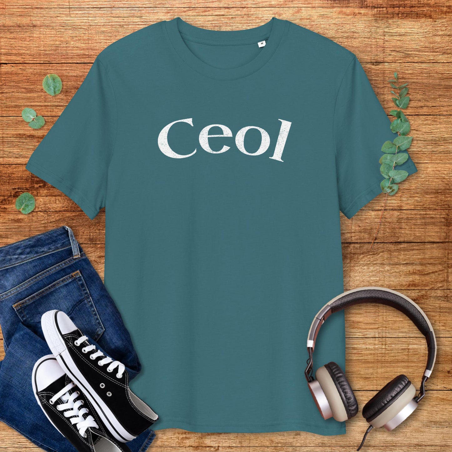 Ceol, Irish Music